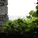 Wakacje z Duchami Historii. Szaniec (13 lipca 2016 r.) / Robert Felczak / Krzysztof Bujnowicz / Radio Kielce