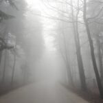 10.04.2016. Święty Krzyż. Puszcza Świętokrzyska. Świętokrzyski Park Narodowy. Las. Droga do klasztoru. / Jarosław Kubalski / Radio Kielce