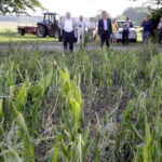 01.07.2016 Okolice Mnina. Poszkodowani przez gradobicie rolnicy z gmin Łopuszno i Słupia (Konecka) spotkali się z posłem PiS Krzysztofem Lipcem i doradcą Wojewody Świętokrzyskiego Andrzejem Prusiem. / Jarosław Kubalski / Radio Kielce