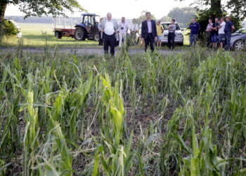 01.07.2016 Okolice Mnina. Poszkodowani przez gradobicie rolnicy z gmin Łopuszno i Słupia (Konecka) spotkali się z posłem PiS Krzysztofem Lipcem i doradcą Wojewody Świętokrzyskiego Andrzejem Prusiem. / Jarosław Kubalski / Radio Kielce