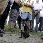 01.07.2016 Okolice Mnina. Poszkodowani przez gradobicie rolnicy z gmin Łopuszno i Słupia (Konecka) spotkali się z posłem PiS Krzysztofem Lipcem i doradcą Wojewody Świętokrzyskiego Andrzejem Prusiem. / Jarosław Kubalski / Radio Kielce