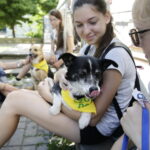 02.07.2016 Kielce. Happening na Placu Artystów. Nie porzucaj zwierząt. / Jarosław Kubalski / Radio Kielce