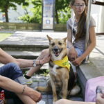 02.07.2016 Kielce. Happening na Placu Artystów. Nie porzucaj zwierząt. / Jarosław Kubalski / Radio Kielce