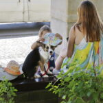 02.07.2016 Kielce. Happening na Placu Artystów. Nie porzucaj zwierząt. / Jarosław Kubalski / Radio Kielce