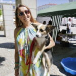 02.07.2016 Kielce. Happening na Placu Artystów. Nie porzucaj zwierząt. / Jarosław Kubalski / Radio Kielce