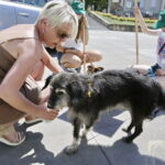 02.07.2016 Kielce. Happening na Placu Artystów. Nie porzucaj zwierząt. / Jarosław Kubalski / Radio Kielce