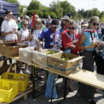 23.07.2016 Kielce. Pielgrzymi podczas przemarszu z Placu NMP na Kolporter Arenę. / Jarosław Kubalski / Radio Kielce