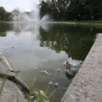 26.07.2016 Kielce. Zanieczyszczony staw w Parku Miejskim. / Jarosław Kubalski / Radio Kielce