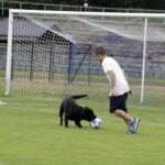 30.07.2016. Jubileusz 90-lecia Staru Starachowice / Jarosław Kubalski / Radio Kielce