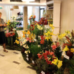 9.7.2016 Kielce. Najpiękniejsze lilie można zobaczyć w KCK / Wojciech Habdas / Radio Kielce