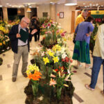 9.7.2016 Kielce. Najpiękniejsze lilie można zobaczyć w KCK / Wojciech Habdas / Radio Kielce