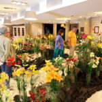 9.7.2016 Kielce. Najpiękniejsze lilie można zobaczyć w KCK / Wojciech Habdas / Radio Kielce