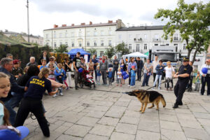 9.7.2016 Kielce. Drugi dzień pikniku na placu Wolności. W całym kraju odbywają się prezentacje sprzętu wojskowego, a okazją jest trwający w Warszawie szczyt NATO. / Wojciech Habdas / Radio Kielce