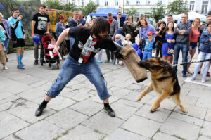 9.7.2016 Kielce. Drugi dzień pikniku na placu Wolności. W całym kraju odbywają się prezentacje sprzętu wojskowego, a okazją jest trwający w Warszawie szczyt NATO. / Wojciech Habdas / Radio Kielce