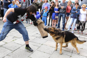 9.7.2016 Kielce. Drugi dzień pikniku na placu Wolności. W całym kraju odbywają się prezentacje sprzętu wojskowego, a okazją jest trwający w Warszawie szczyt NATO. / Wojciech Habdas / Radio Kielce