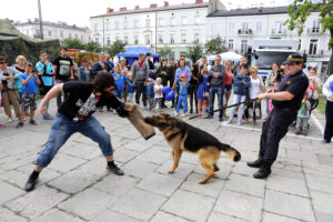 9.7.2016 Kielce. Drugi dzień pikniku na placu Wolności. W całym kraju odbywają się prezentacje sprzętu wojskowego, a okazją jest trwający w Warszawie szczyt NATO. / Wojciech Habdas / Radio Kielce