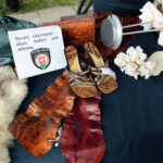 9.7.2016 Kielce. Drugi dzień pikniku na placu Wolności. W całym kraju odbywają się prezentacje sprzętu wojskowego, a okazją jest trwający w Warszawie szczyt NATO. / Wojciech Habdas / Radio Kielce