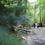 21.07.2016 Pielgrzymi z Kanady wzięli udział w Drodze Krzyżowe z Nowej Słupi na Święty Krzyż / Wojciech Habdas / Radio Kielce