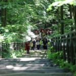 21.07.2016 Pielgrzymi z Kanady wzięli udział w Drodze Krzyżowe z Nowej Słupi na Święty Krzyż / Wojciech Habdas / Radio Kielce