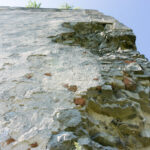 Wakacje z Duchami Historii. Tudorów (2 sierpnia 2016 r.) / Stanisław Blinstrub / Krzysztof Bujnowicz / Radio Kielce