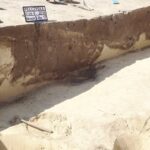 30.08.2016. Wykopaliska w Pełczyskach / fot. facebook.compelczyska2016