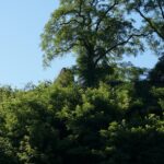 Wakacje z Duchami Historii. Podgrodzie (8 sierpnia 2016 r.) / Krzysztof Bujnowicz / Radio Kielce