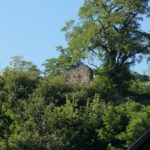 Wakacje z Duchami Historii. Podgrodzie (8 sierpnia 2016 r.) / Krzysztof Bujnowicz / Radio Kielce