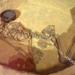 24.08.2016. Wakacje z duchami historii. Chroberz / Krzysztof Bujnowicz / Radio Kielce