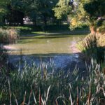 30.08.2016 Wakacje z duchami historii. Modliszewice / Krzysztof Bujnowicz / Radio Kielce