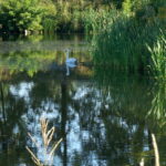 09.08.2016. Wakacje z duchami historii. Ćmielów / Krzysztof Bujnowicz / Radio Kielce