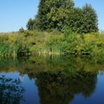 09.08.2016. Wakacje z duchami historii. Ćmielów / Krzysztof Bujnowicz / Radio Kielce