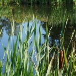 09.08.2016. Wakacje z duchami historii. Ćmielów / Krzysztof Bujnowicz / Radio Kielce