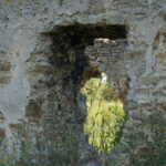 09.08.2016. Wakacje z duchami historii. Ćmielów / Krzysztof Bujnowicz / Radio Kielce