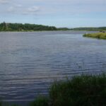 11.08.2016 Wakacje z duchami historii. Wąchock / Krzysztof Bujnowicz / Radio Kielce