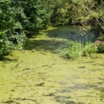 11.08.2016 Wakacje z duchami historii. Wąchock / Krzysztof Bujnowicz / Radio Kielce