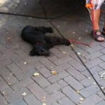 28.08.2016 Bliżej Teatru w Kielcach / Marek Wtorek / Radio Kielce