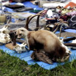 13.08.2016 Kielce. Giełda kolekcjonerska przed WDK. / Jarosław Kubalski / Radio Kielce