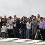 16.08.2016 Michałów. Pokaz na zakończenie Dni Konia Arabskiego. / Jarosław Kubalski / Radio Kielce