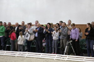 16.08.2016 Michałów. Pokaz na zakończenie Dni Konia Arabskiego. / Jarosław Kubalski / Radio Kielce