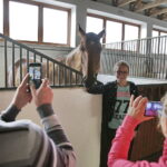 16.08.2016 Michałów. Pokaz na zakończenie Dni Konia Arabskiego. / Jarosław Kubalski / Radio Kielce