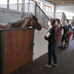 16.08.2016 Michałów. Pokaz na zakończenie Dni Konia Arabskiego. / Jarosław Kubalski / Radio Kielce