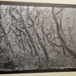 19.08.2016 Kielce. Stare techniki fotograficzne. Wystawa w BWA. / Jarosław Kubalski / Radio Kielce