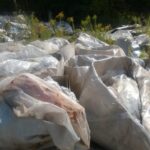 25.08.2016. Wysypisko śmieci po dawnym Zakładzie Robót Publicznych w Starachowicach / Waldemar Jakubiak / Straż Miejska Starachowice