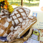 28.8.2016 Tokarnia. Święto chleba / Wojciech Habdas / Radio Kielce