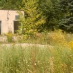 25.08.2016. Wysypisko śmieci po dawnym Zakładzie Robót Publicznych w Starachowicach / Waldemar Jakubiak / Straż Miejska Starachowice