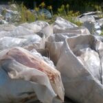 25.08.2016. Wysypisko śmieci po dawnym Zakładzie Robót Publicznych w Starachowicach / Waldemar Jakubiak / Straż Miejska Starachowice