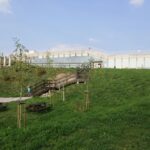 Kielecki Piknik Geologiczny Geo-Dizajn (11 września 2016) / Wojciech Habdas / Radio Kielce