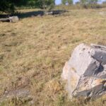 23.09.2016. Studenci porządkowali cmentarz żydowski w Jędrzejowie / Ewa Pociejowska-Gawęda / Radio Kielce