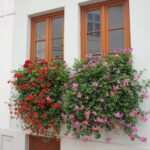 Muzyczne Podróże Przez Świat. Południowe Morawy (24 września 2016) / Stanisław Blinstrub / Radio Kielce