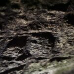 Muzyczne Podróże Przez Świat. Południowe Morawy (24 września 2016) / Stanisław Blinstrub / Radio Kielce